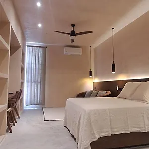 Apartment Mid-498 Centro, Merida